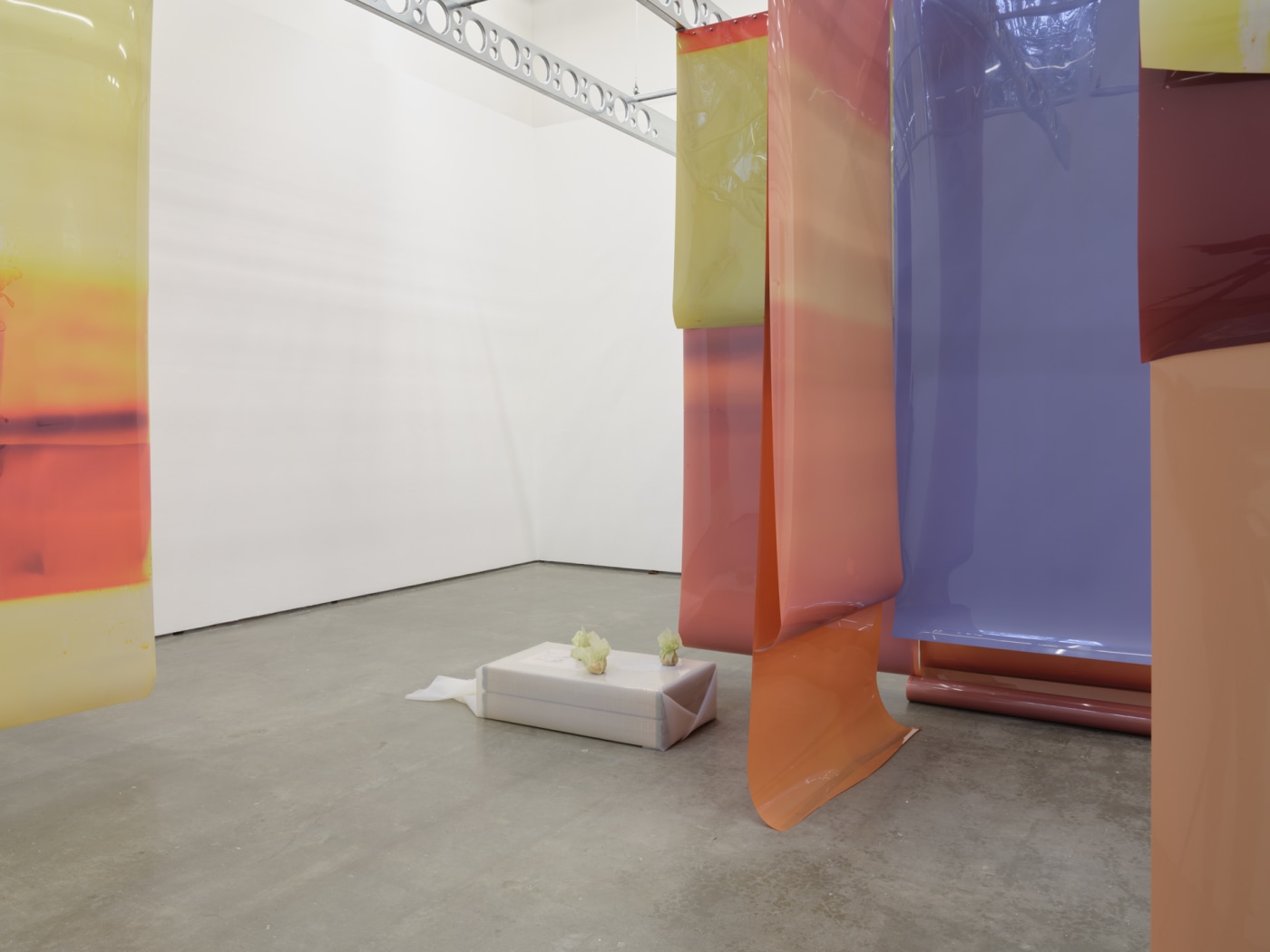 13 Lotus L Kang 2023