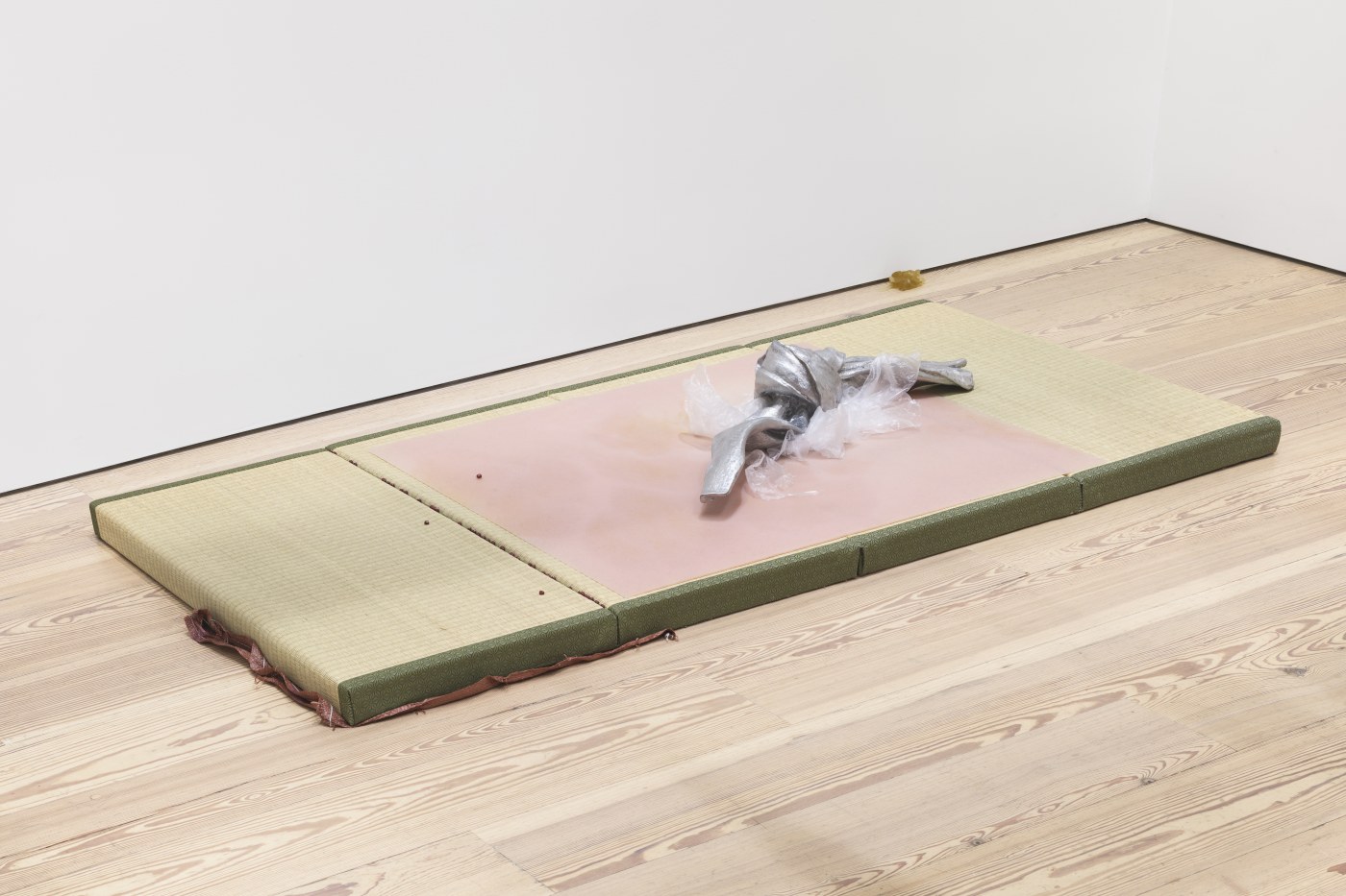 Lotus L Kang In Cascades Whitney Museum Of American Art Proof V1 Dsf4388