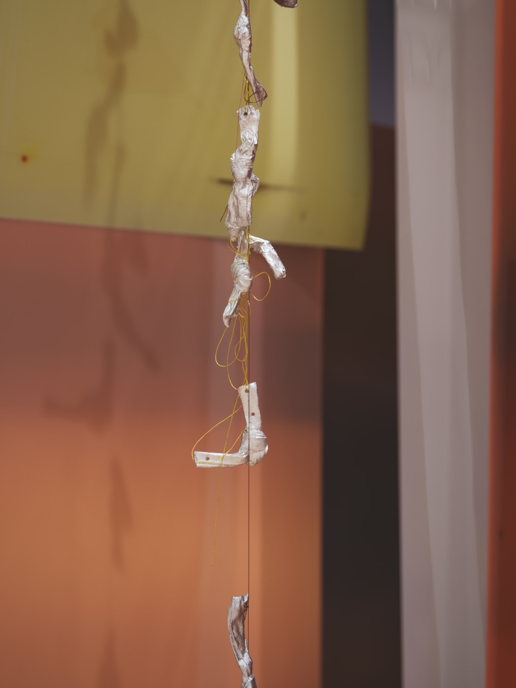 Lotus L Kang In Cascades Whitney Museum Of American Art Proof V1 Dsf4473