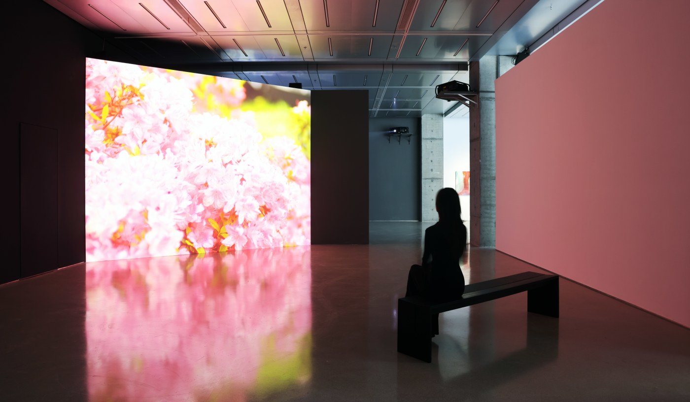 15 Dc 2025 15Birdcage Dc 2025 Flow Of Time David Claerbout And Zhou Tao Photo The Cloud Collection