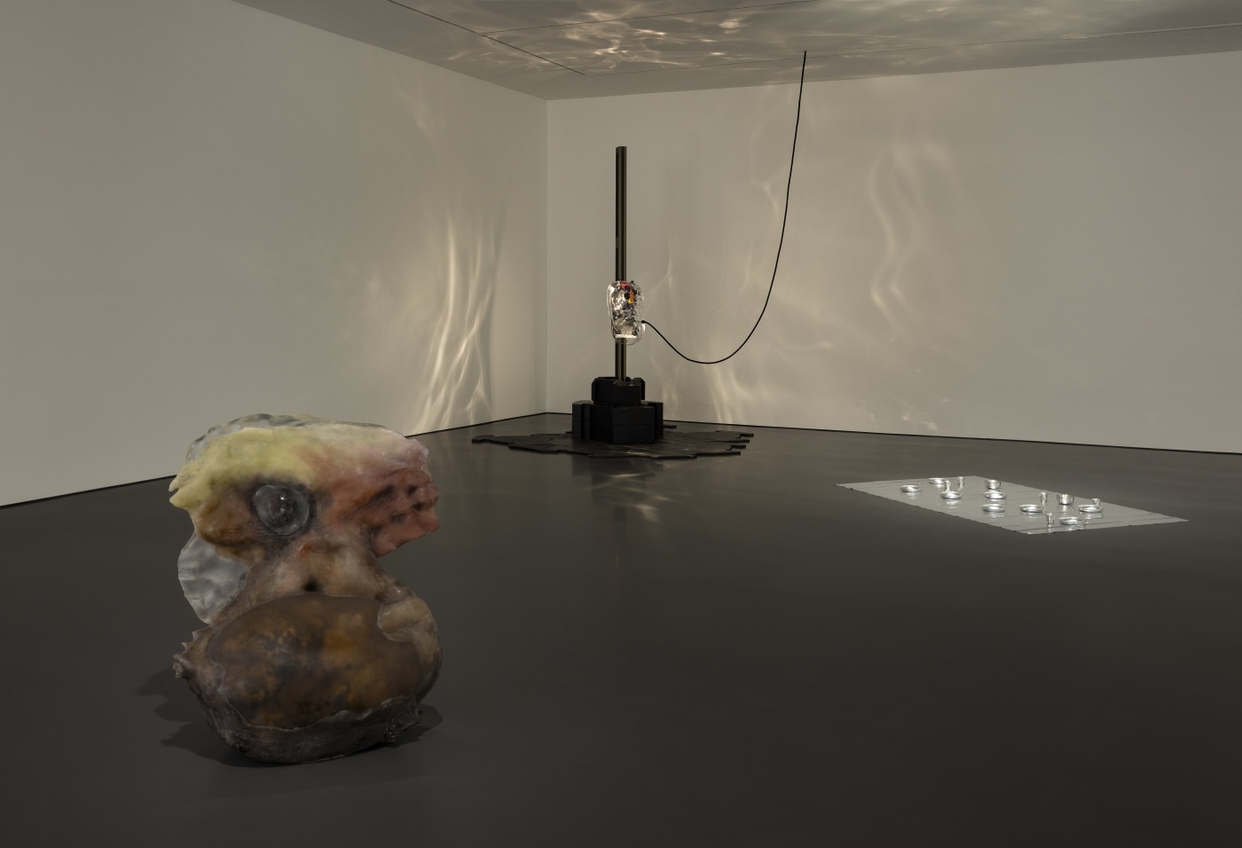 Es Views 18 Phs Final