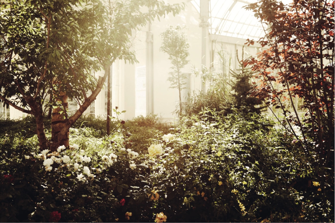 Screenshot 2020 05 16 At 15 03 04