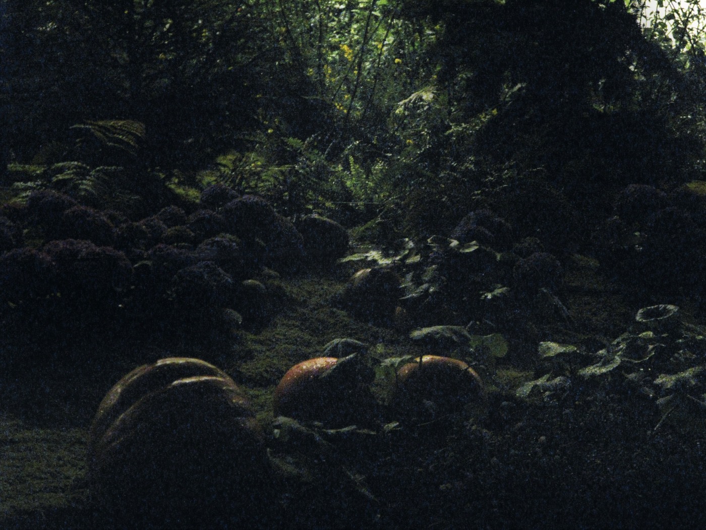 Screenshot 2020 05 16 At 15 06 37