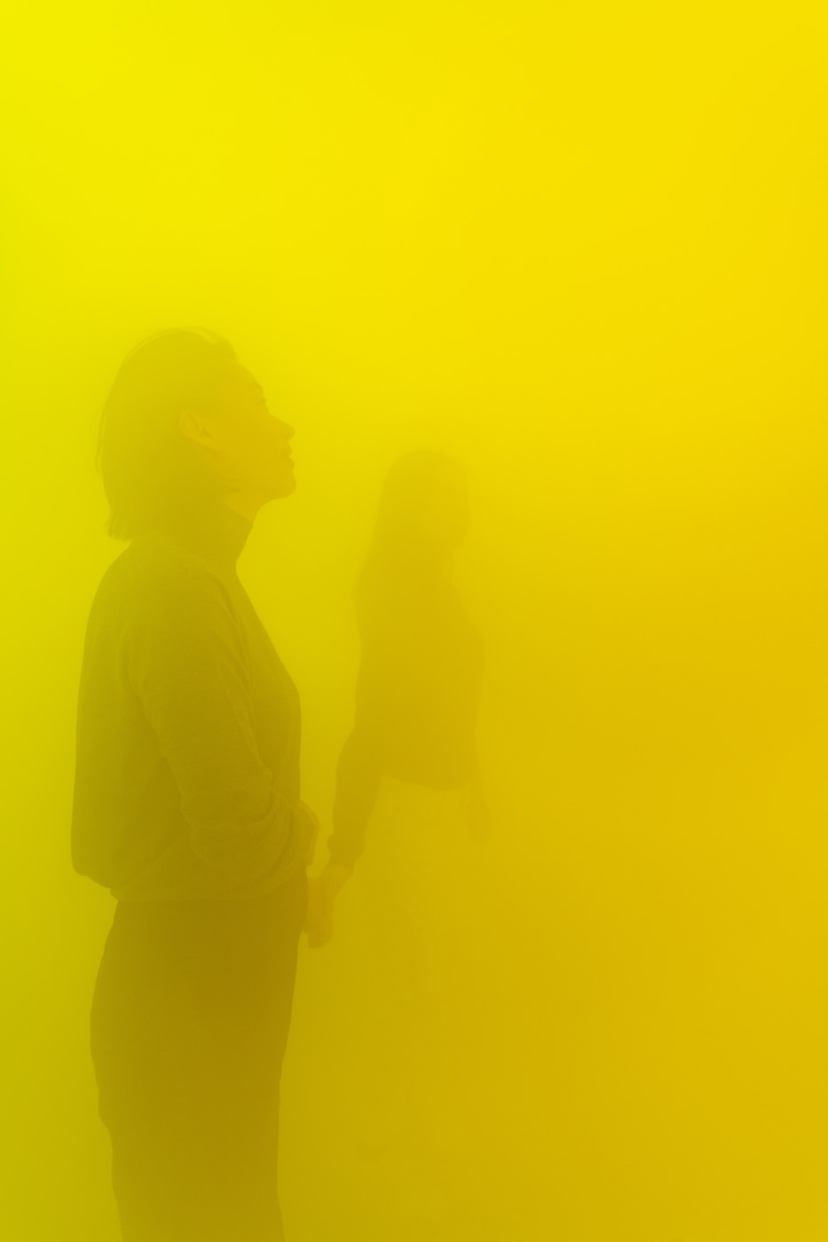 Ann Veronica Janssens Green Yellow And Pink 2017 3
