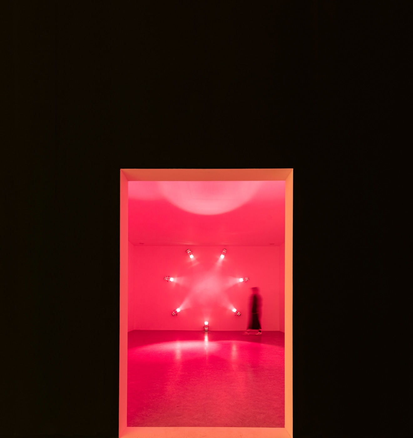 Ann Veronica Janssens Rose 2007