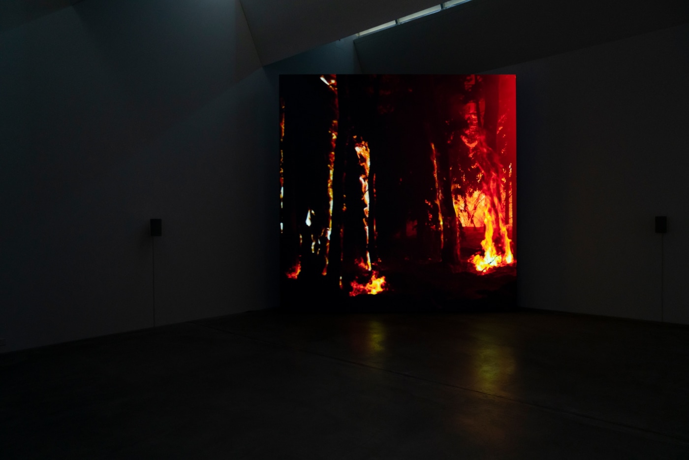 Bewegte Bilder Ausstellung 20 14 1