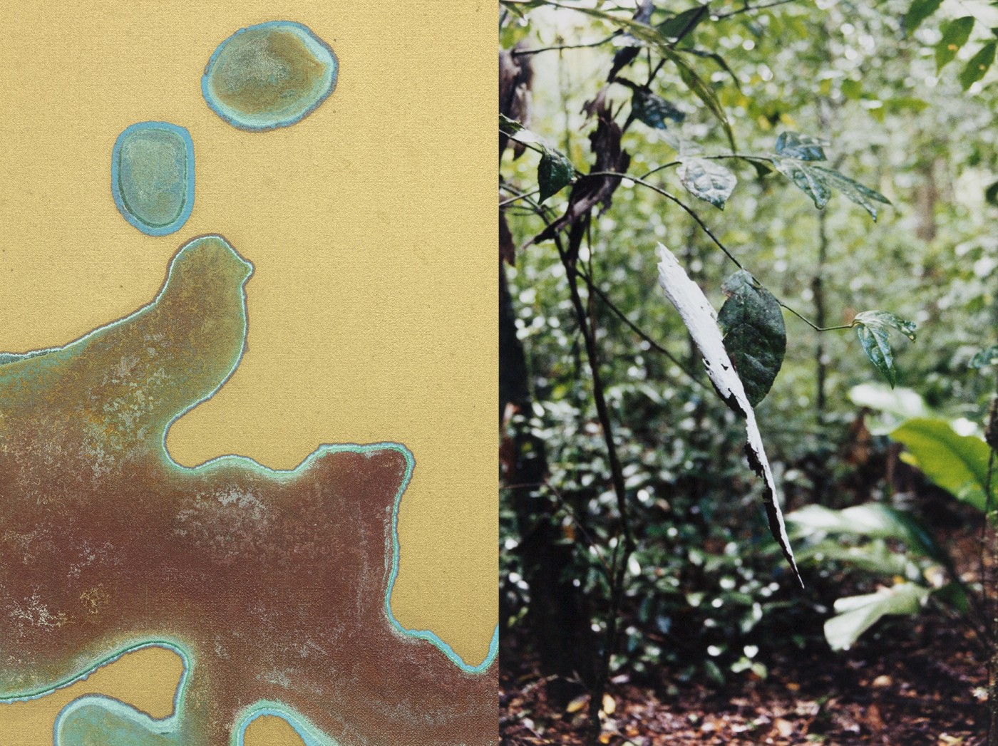 Vortic Cover Details 04A