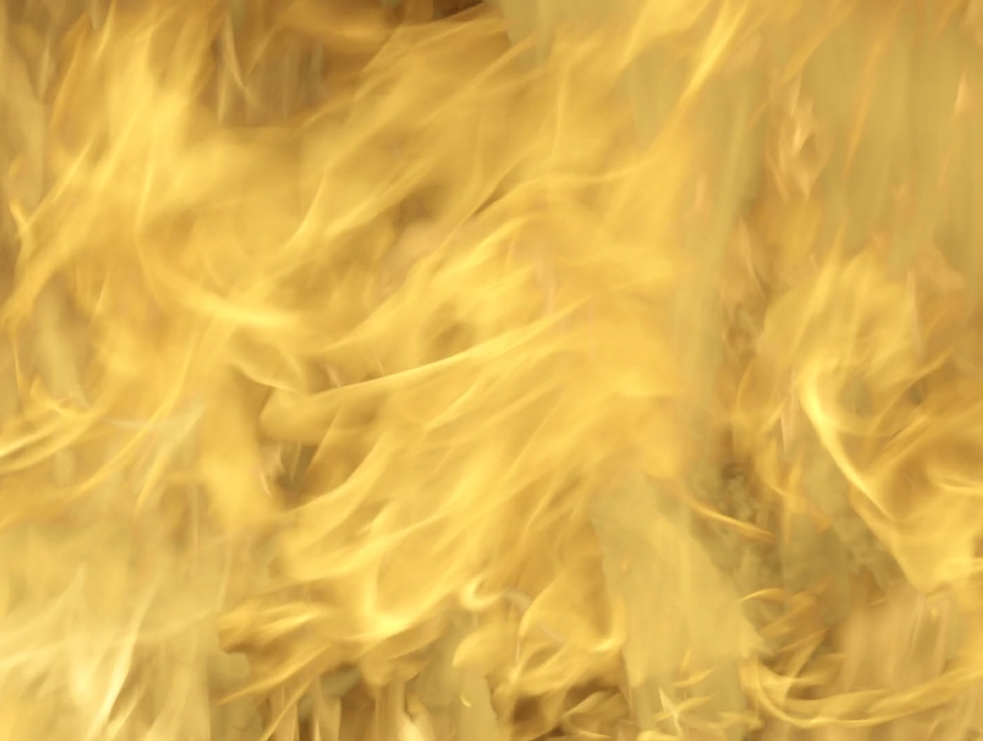 Image: LOOP Fair 2023