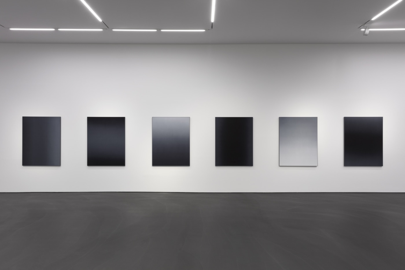 The new silks—with their progressions of light and dark greys—constitute a culmination of this series. Braun returns to the limitations...