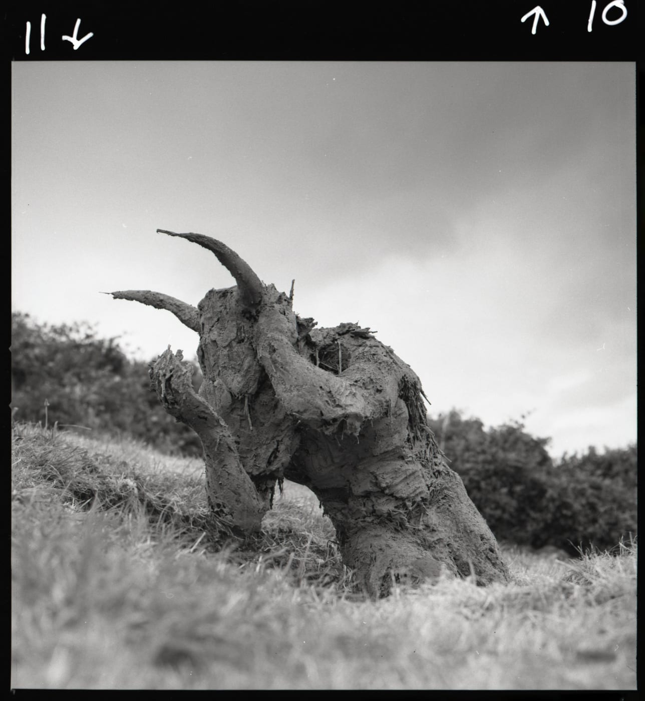 Angela Flowers began staging seasonal exhibitions out of her longtime home in Rosscarbery, West Cork, Ireland in 1985, with the...