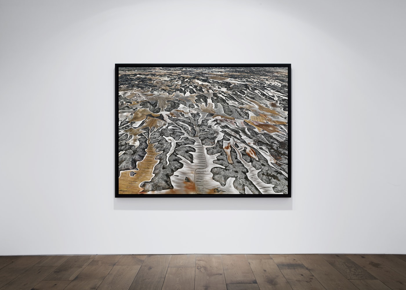 Edward Burtynsky Dryland Farming #9, Monegros County, Aragon, Spain, 2011 Archival pigment print Enquire