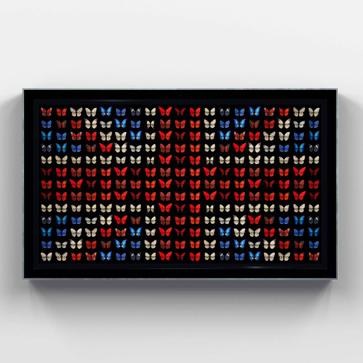 His work is animated through a sophisticated process of coding