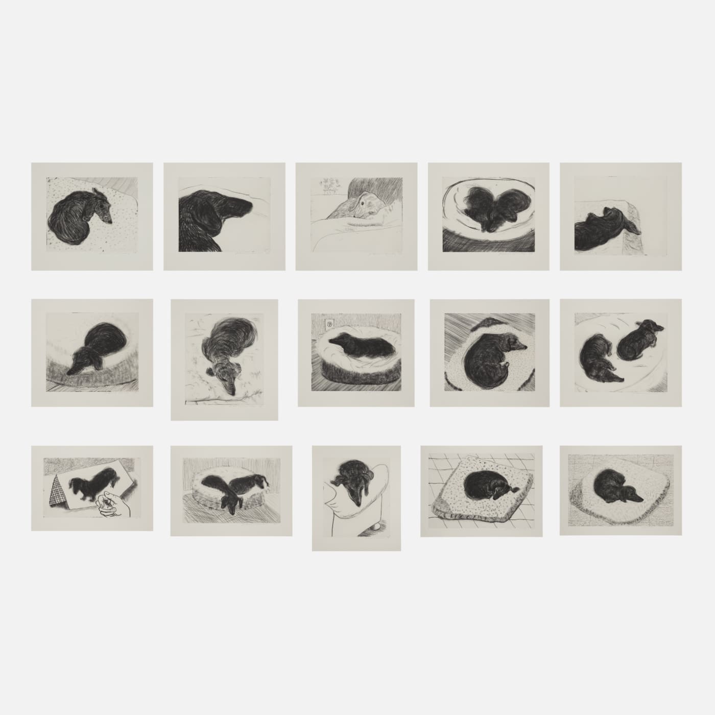 The playful, intimate nature of the Dog Wall series