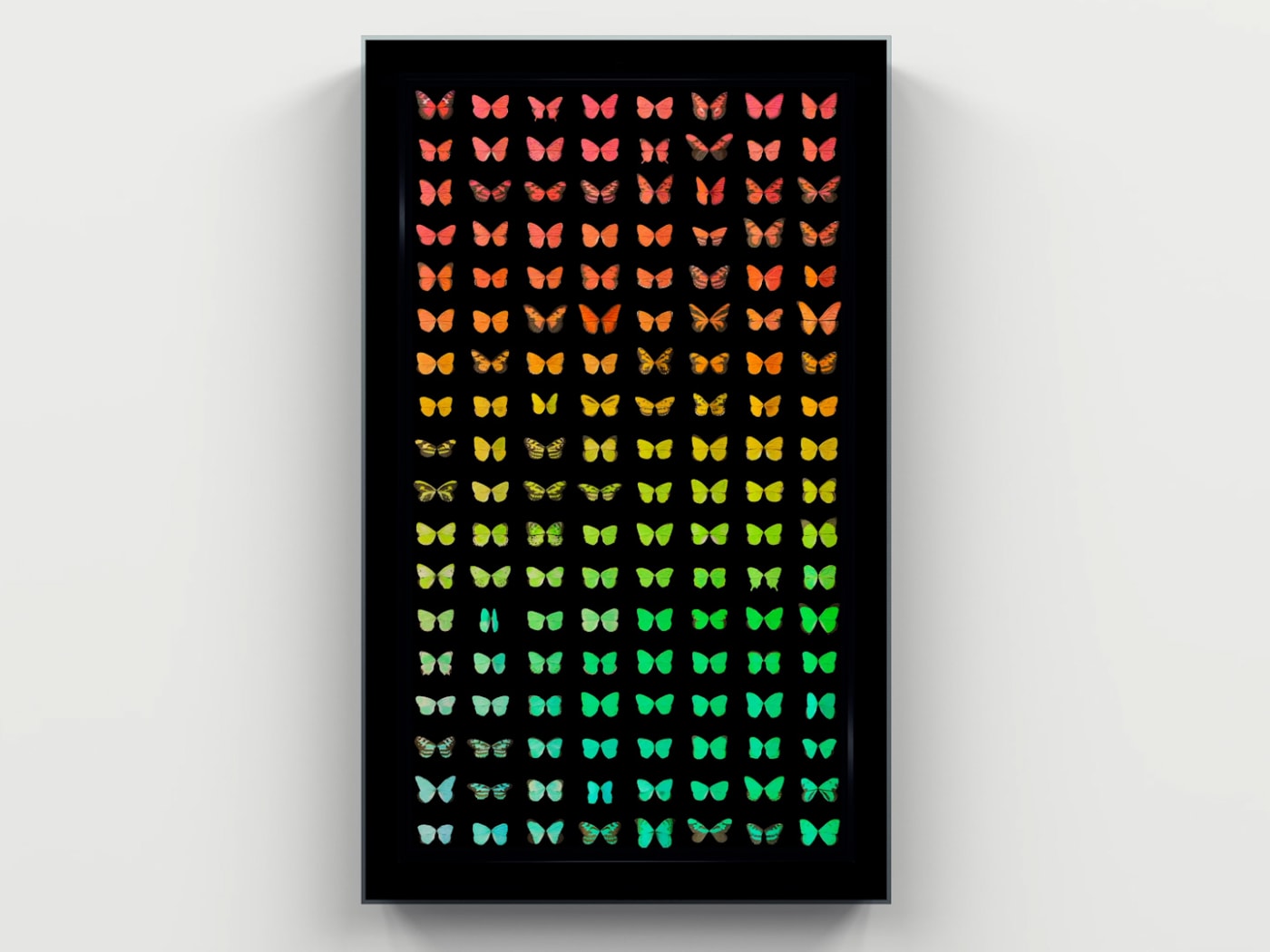 Tim Marlow: Most interviews for catalogues take place before a show has been installed. We have the luxury of doing...