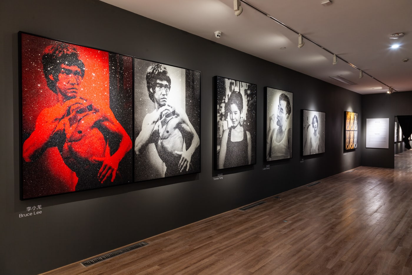 Superstar features works from Pig Portraits (2003) and Fame + Shame (2005) to American Landscapes (2016) and Femme Fatale (2017)...