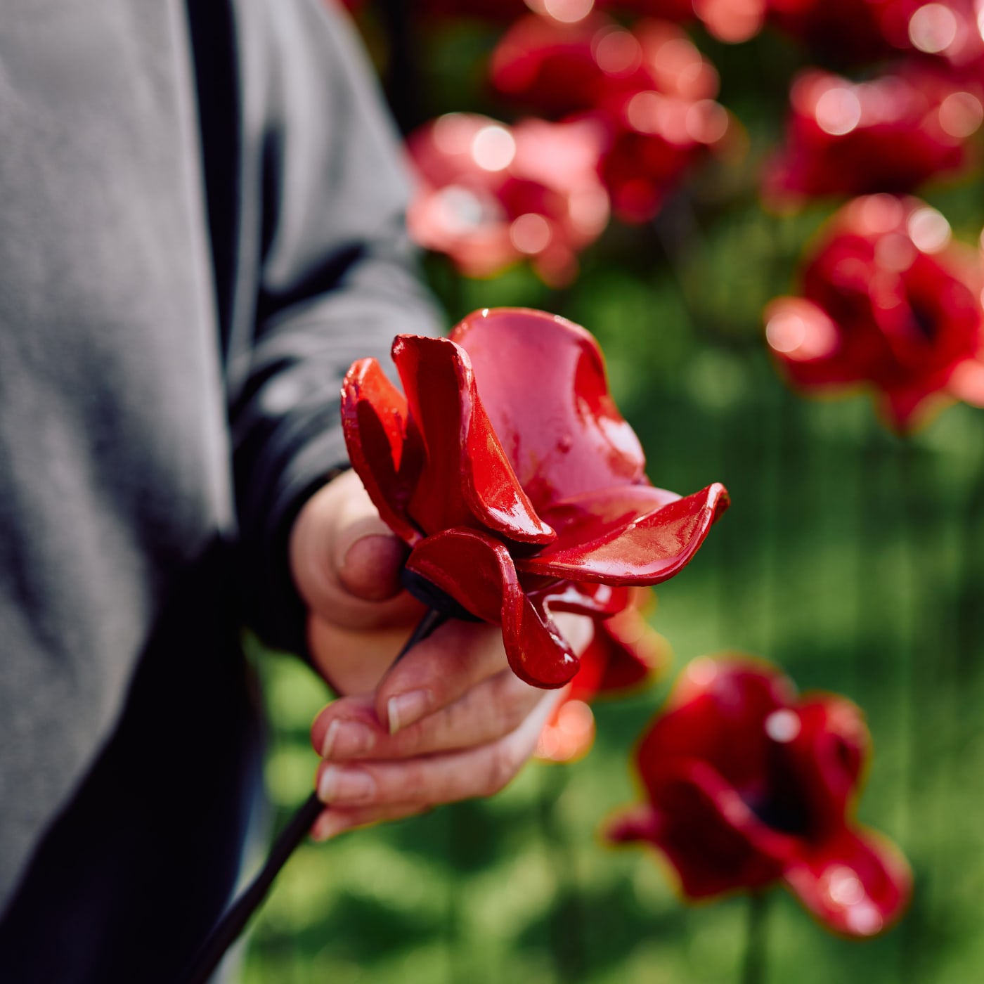 Delicate Flowers Require Gentle Hands