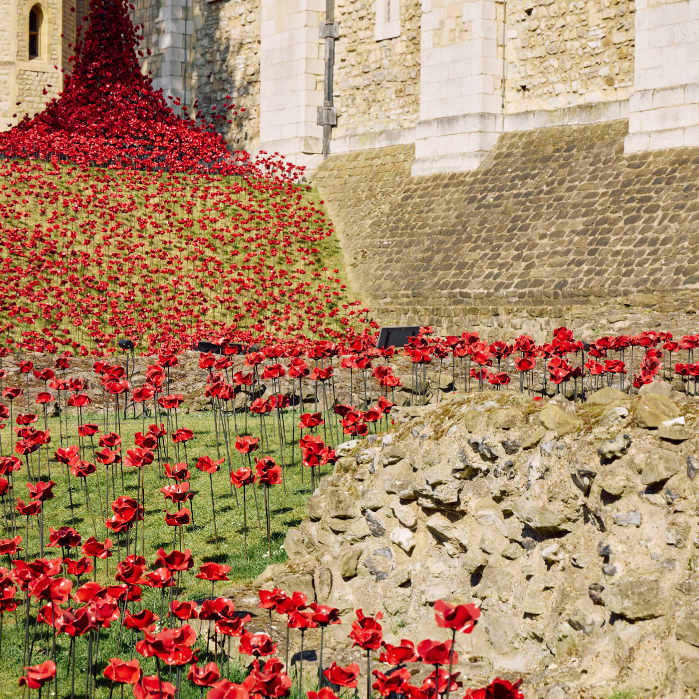 The New Installation: The Tower Remembers