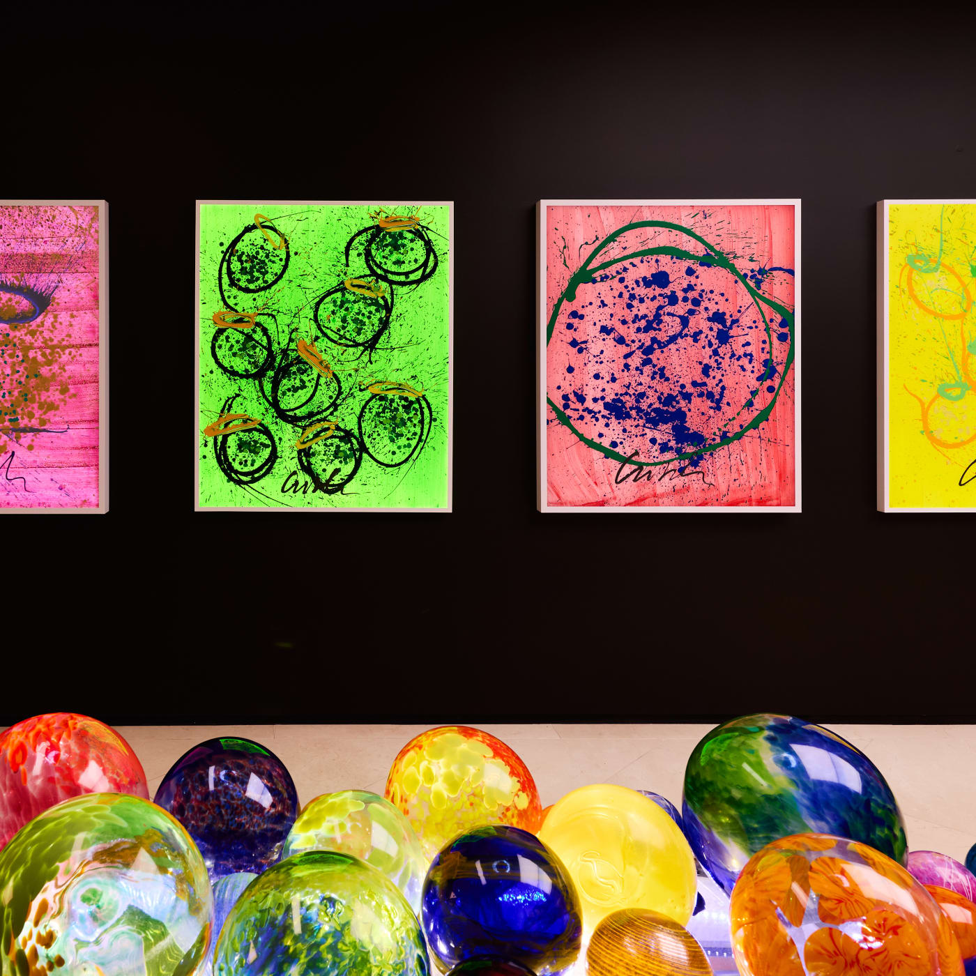 Dale Chihuly: Colour Through Light & Glass
