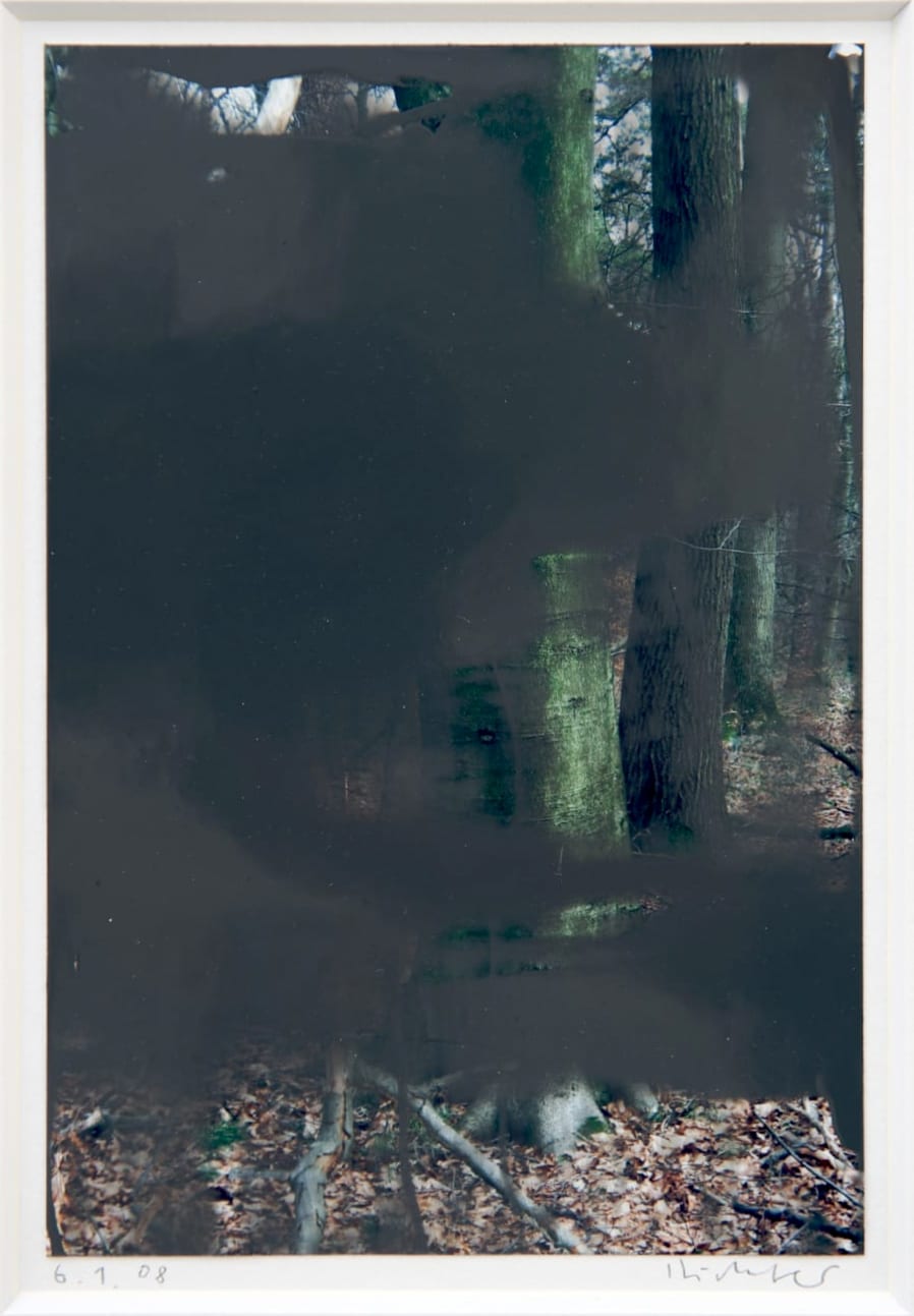 Gerhard Richter, Marian Goodman Gallery, 2020