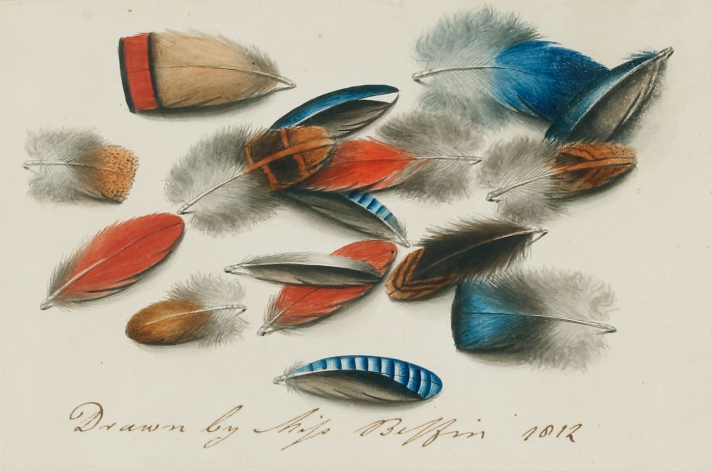 a signed painting of colourful feathers by sarah biffin