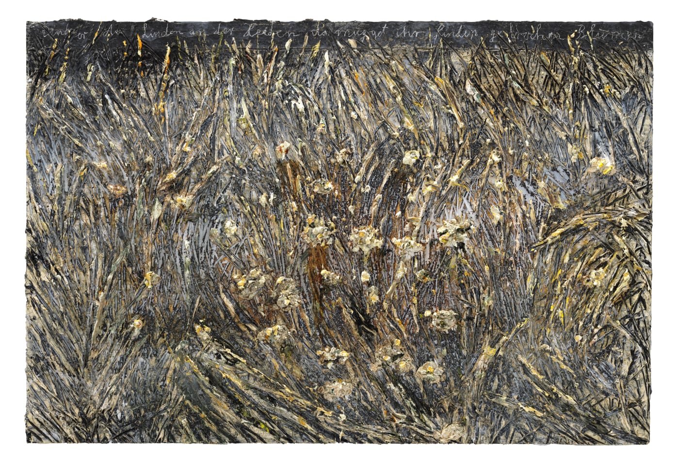 With this new series the artist returns to depictions of nature that have occupied him since earlier series such as...