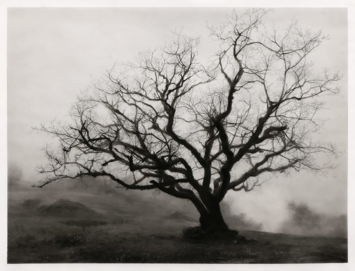 Robert Longo As is often the case in Longo’s hyperrealist charcoal depictions of forests and trees, nature serves as the...