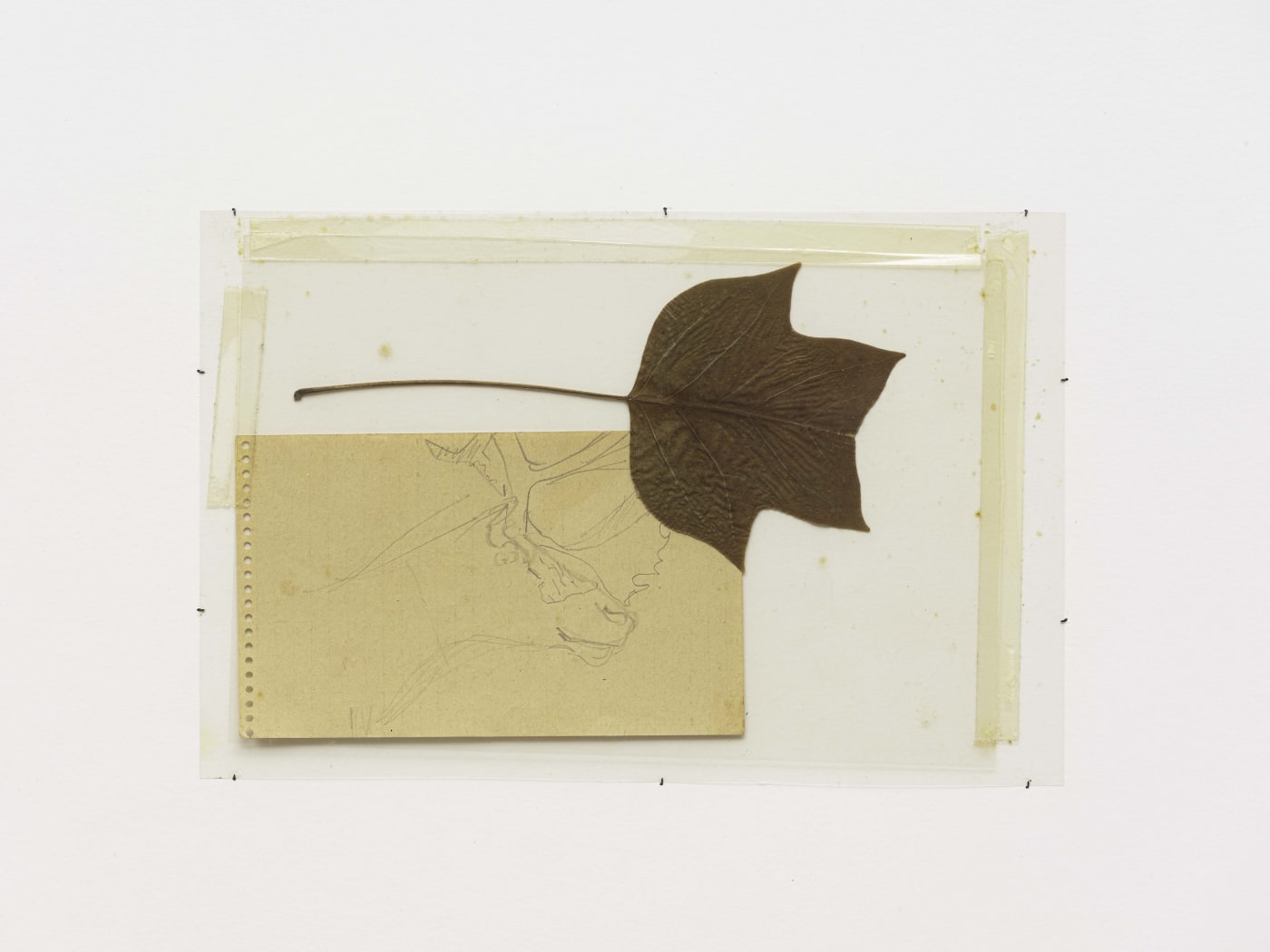 Joseph Beuys | 40 Years of Drawing | Thaddaeus Ropac