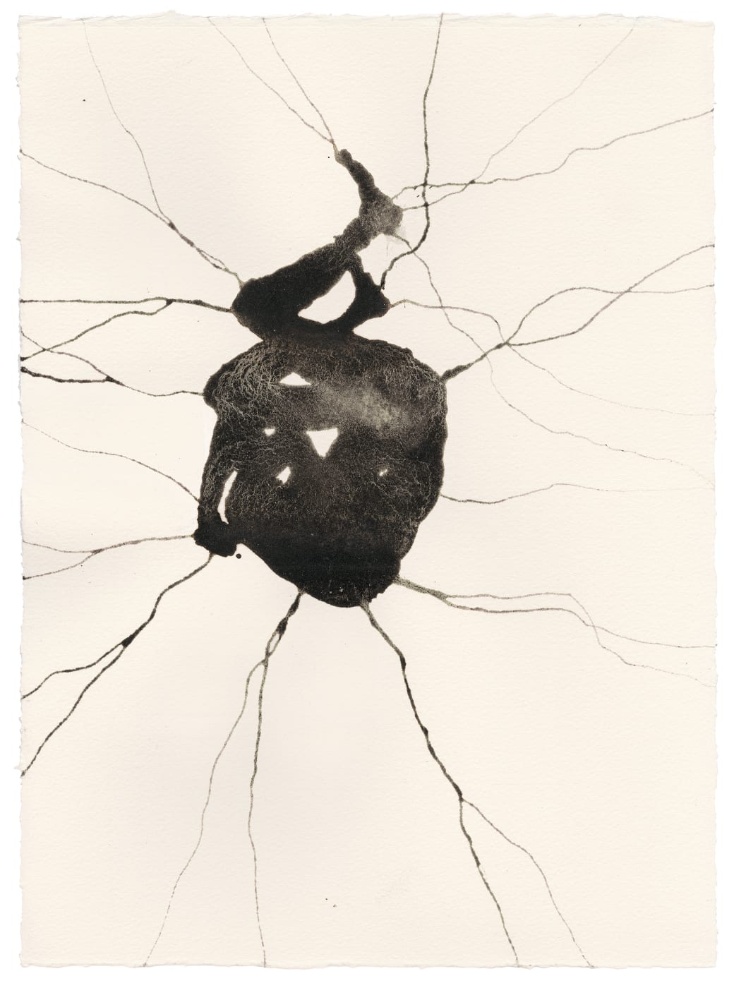 The most recent drawings in the exhibition are made with deliquescent inkcap mushrooms and show bodies caught as if in...