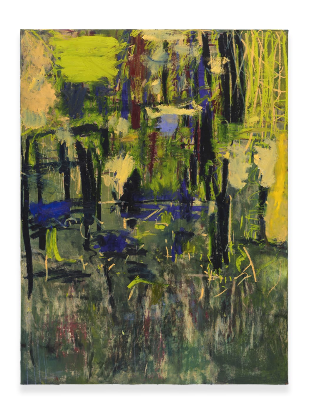 In her latest body of work, Rooney explores the vast chromatic territory between yellow and blue, reminding us that the...