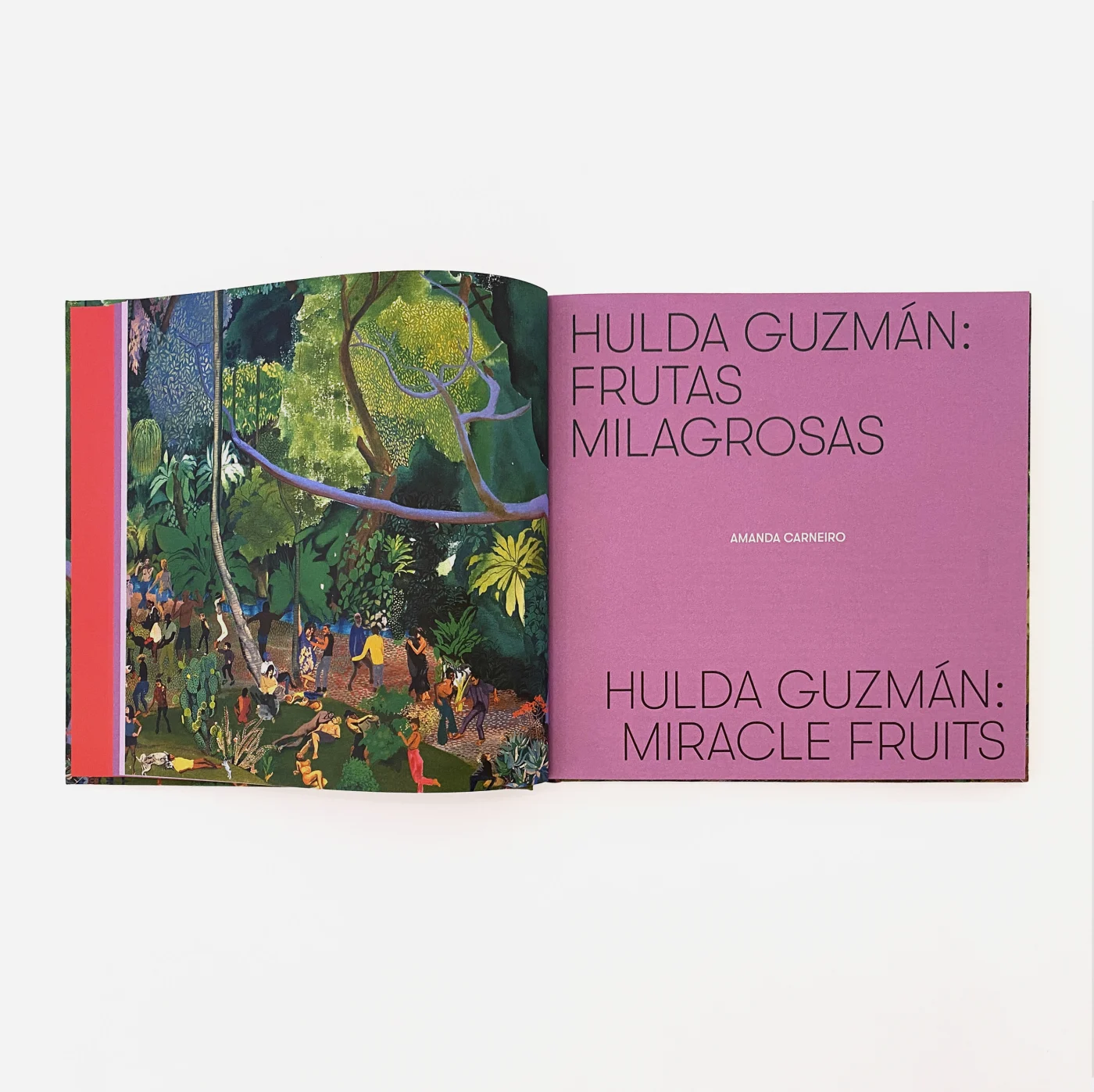 Hulda Guzmán releases new catalogue: 'Miracle Fruits'