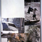 Robert Rauschenberg