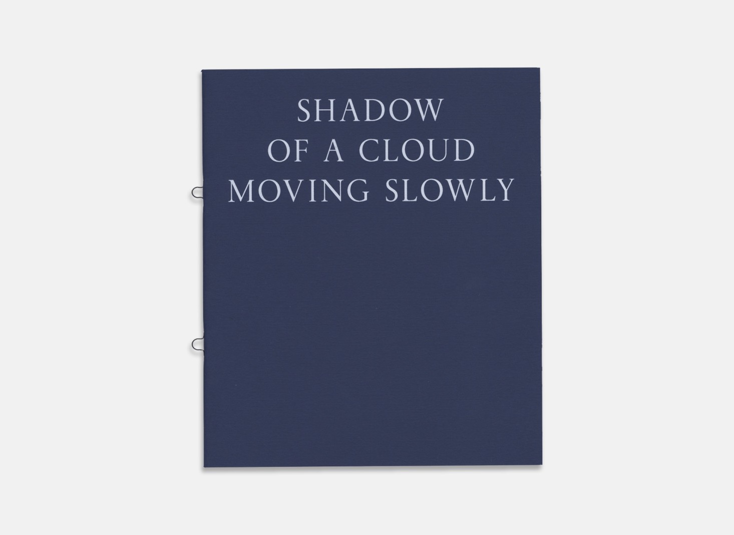 Dana Schutz: Shadow of a Cloud Moving Slowly