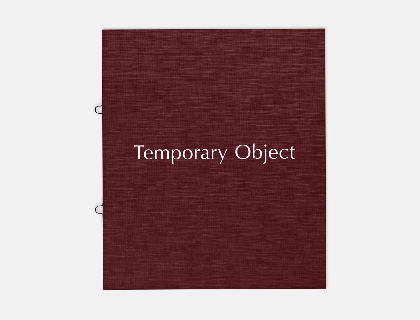 Amy Sillman: Temporary Object