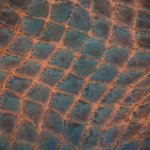 Patina 57, 2022