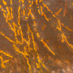Patina 57, 2022