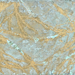 Patina 57, 2022