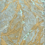 Patina 57, 2022