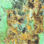 Patina 57, 2022