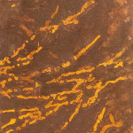 Patina 57, 2022