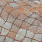 Patina 57, 2022