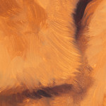Corri-Lynn Tetz, Soft struggles, 2024