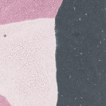 Kate Groobey, Rose, 2024