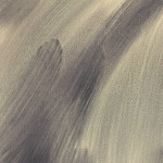 Corri-Lynn Tetz, Soft struggles, 2024