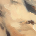 Corri-Lynn Tetz, Soft struggles, 2024