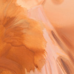 Corri-Lynn Tetz, Soft struggles, 2024