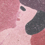 Kate Groobey, Rose, 2024