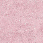 Kate Groobey, Rose, 2024