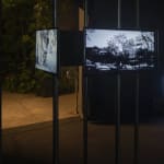 Paulo Nazareth, Pé Vermei, 2005