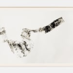 Mariana Castillo Deball, Tree Trap Sao Paulo, 2013