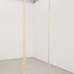 Paloma Bosquê, Sargaço | Seaweed, 2020